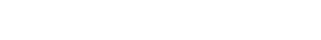 The News & Observer logo