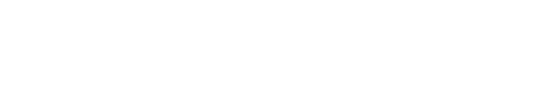 Tampa Bay Times logo